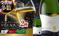 【お中元ギフト対象】ワイン VILLAQUA イエロー・グリーン 750ml 2本セット ロゼ 受賞 国産 ワイン 白 白ワイン 日本ワイン スパークリングワイン スパークリング 発泡 辛口 ワインセット 果実酒 希少ワイン 飲み比べ セット 人気 おすすめ 酒 お酒 地酒 洋酒 お祝い 記念日 誕生日 プレゼト お取り寄せ 父の日 三次市 / 広島三次ワイナリー [APAZ155]