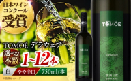 【お中元ギフト対象】 白ワイン TOMOEデラウェア 750ml ワイン 白ワイン 白 やや辛口 辛口 ワイン 受賞 ギフト 飲み比べ 贈答 お取り寄せ 酒 国産 日本ワイン プレゼント ギフト 日本ワインコンクール受賞 お酒 地酒 洋酒 ソムリエ ぶどう 葡萄 ブドウ フルーティ ご当地 記念日 誕生日 パーティー 父の日 三次市 / 広島三次ワイナリー[APAZ001]