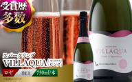 ワイン VILLAQUA -ピンク- 750ml×1本 ロゼ 受賞 国産 ワイン 白 白ワイン 日本ワイン スパークリングワイン スパークリング 発泡 辛口 果実酒 希少ワイン 人気 おすすめ 酒 お酒 洋酒 お祝い 記念日 誕生日 敬老の日 クリスマス パーティー 贈答 ギフト プレゼント お取り寄せ 父の日 三次市 / 広島三次ワイナリー [APAZ145]