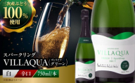 ワイン VILLAQUA -グリーン- 750ml×1本 受賞 国産 ワイン 白 白ワイン 日本ワイン スパークリングワイン スパークリング 発泡 辛口 果実酒 希少ワイン 人気 おすすめ 酒 お酒 地酒 洋酒 お祝い 記念日 誕生日 敬老の日 クリスマス パーティー 贈答 ギフト プレゼント お取り寄せ 父の日 三次市 / 広島三次ワイナリー [APAZ151]