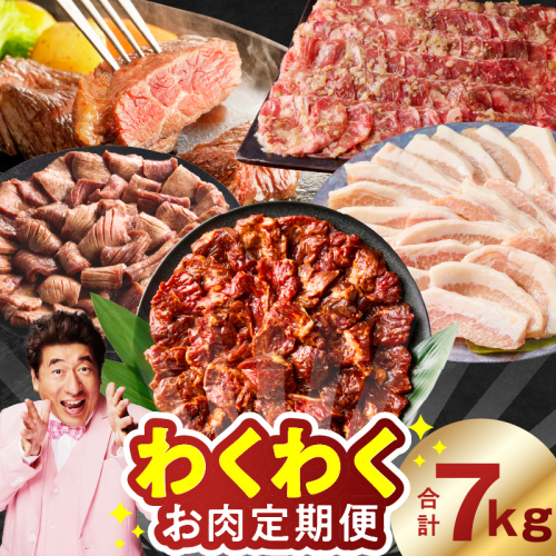 わくわくお肉定期便 全6回 合計7kg【ハラミ 牛たん 豚トロ 焼肉 BBQ やきにく ファミリー 定期便】 099Z575 2654252 - 大阪府泉佐野市