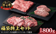宮崎牛 福袋特上セット 計800g[KU038]
