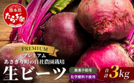 自社農園栽培 プレミアム 生 ビーツ 3kg 希少 高品質 beet 熊本県 産 国産 スーパーフード 高栄養 びーつ フレッシュ あさぎり農園 野菜 根菜 冷蔵 配送 美容 健康 115-0614