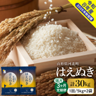 【令和8年産米】※選べる配送時期※はえぬき30kg（10kg×3ヶ月）隔月定期便 山形県産 【米comeかほく協同組合】