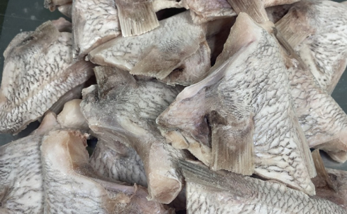 たっぷり! 香川県産 天然真鯛カマ 1.5kg(約20個～50個入り) 鯛 真鯛 カマ 魚 魚介 魚介類 冷凍 香川 香川県 2654527 - 香川県綾川町