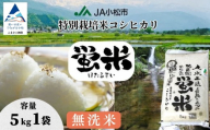 [無洗米] [特別栽培米] コシヒカリ 精米 蛍米 5kg コメ こめ お米 5kg 米5kg おこめ 白米 こしひかり コシヒカリ 令和7年産 R7年産 2025年産 石川県産 小松市産 無洗米 むせんまい | 石川県 小松市 JA小松市 ag016m01