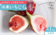 【先行予約】 冷凍・朝採れ完熟いちじく 1kg（加熱用） / いちじく イチジク フルーツ 果物 冷凍 朝採れ 完熟 岐阜市 / tete. [ANJZ003]