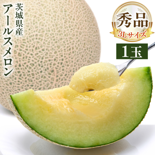 【 先行予約 】茨城県産 アールスメロン 秀品 3L サイズ × 1玉 入り 【 2026年8月下旬から発送 】 おすすめ JA全農いばらき JA 【 2026年8月下旬から発送 】 メロン めろん ふるさと納税 フルーツ 予約 マスクメロン くだもの 果物 国産旬 定番 旬 期間限定 青肉 果物 2654822 - 茨城県牛久市