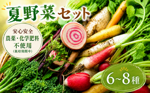 【先行予約】 訳あり 野菜セット 夏 6 ～ 8 種類 7月上旬以降発送 おまかせ 詰め合わせ セット 夏野菜 野菜 セット ミニトマト なす オクラ きゅうり ピーマン ししとう パプリカ 大甘とうがらし 冷蔵配送 旬 新鮮 野菜 やさい サラダ パスタ お弁当 ジューシー 送料無料 産地直送 千葉県 旭市 珠樹自然農園 tsn001 2654836 - 千葉県旭市
