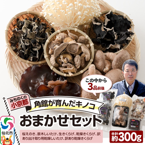 みちのくの小京都・角館が育んだ「おまかせセット」（桜えのき、原木しいたけ、生きくらげ、乾燥きくらげ、訳あり出汁取り用乾燥しいたけ、訳あり乾燥きくらげ）合計約300g(3品前後) [えのき エノキ しいたけ 椎茸 シイタケきくらげ 木耳 キクラゲ 園主おすすめ 生 乾燥 出汁 訳あり 秋田県 仙北市 角館] 2654900 - 秋田県仙北市