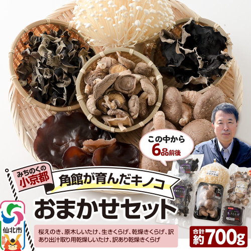 みちのくの小京都・角館が育んだ「おまかせセット」（桜えのき、原木しいたけ、生きくらげ、乾燥きくらげ、訳あり出汁取り用乾燥しいたけ、訳あり乾燥きくらげ）合計約700g(6品前後) [えのき エノキ しいたけ 椎茸 シイタケきくらげ 木耳 キクラゲ 園主おすすめ 生 乾燥 出汁 訳あり 秋田県 仙北市 角館] 2654901 - 秋田県仙北市