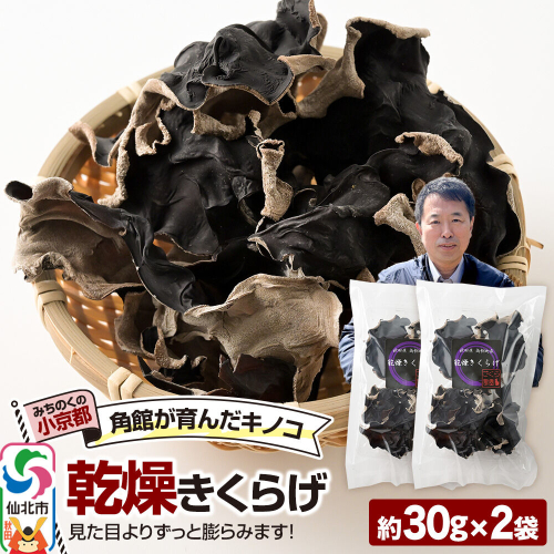 乾燥きくらげ 約30g×2袋 [きくらげ 木耳 キクラゲ 乾燥 手のひらサイズ 秋田県 仙北市 角館] 2654903 - 秋田県仙北市