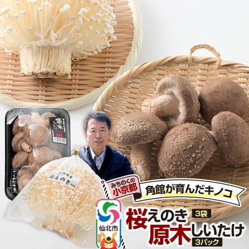 みちのくの小京都・角館が育んだ「2種セット」（桜えのき約300g×3袋、原木しいたけ×3パック） [えのき エノキ しいたけ 椎茸 シイタケ 秋田県 仙北市 角館] 2654905 - 秋田県仙北市