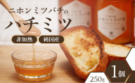二ホンミツバチのハチミツ 250g×1個 | はちみつ 蜂蜜 国産 非加熱 にほんみつばち 日本蜜蜂