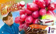【お中元対象】フルーツ【2026年先行予約】【10個限定】【贈答用】期待の新品種！クイーンセブン 1房（約350g）秀品・化粧箱入りぶどう 葡萄 皮ごと 種なし 果物 産直 産地直送 旬 限定 先行予約 高級 ギフト 贈答 贈り物 ブドウ オリジナル化粧箱 ギフト 星のぶどう 夏のギフト 大粒 甘い デザート クイーンセブン 島根県雲南市/ギアファーム [AIAB007-997]