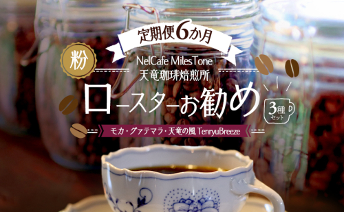【定期便6か月】ロースターお勧め3種セット（モカ・グァテマラ・天竜の風　TenryuBreeze） ペーパードリップ用粉 コーヒー粉 珈琲粉 コーヒー 静岡 浜松市 2656214 - 静岡県浜松市