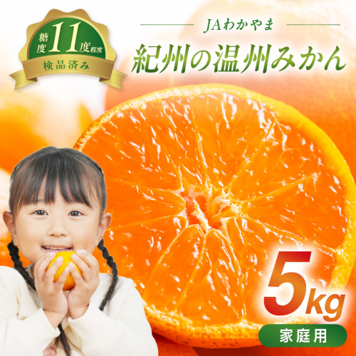 JAわかやま　紀州の温州みかん（家庭用）5kg 2656283 - 和歌山県御坊市