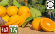 [ 2ヶ月定期便 ] [ 訳アリ ] 「 河内みかん堂 」 のみかん 約1kg + 傷み補償付き 約5玉 ( 家庭用 ) みかん ミカン 河内みかん 柑橘系 柑橘類 柑橘 くだもの 果物 フルーツ 果実 果汁 果肉 国産 熊本県産 旬 [ 2026年11月上旬発送開始 ]