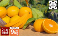 [ 2ヶ月定期便 ] [ 訳アリ ] 「 河内みかん堂 」 のみかん 約9kg + 傷み補償付き 約5玉 ( 家庭用 ) みかん ミカン 河内みかん 柑橘系 柑橘類 柑橘 くだもの 果物 フルーツ 果実 果汁 果肉 国産 熊本県産 旬 [ 2026年11月上旬発送開始 ]