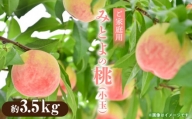M02-0127_【先行予約】【期間限定】みとよの桃　(小玉)　約3.5kg