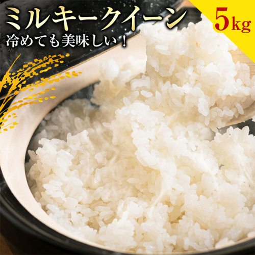 お米 ミルキークイーン 約5kg 山崎農園 《30日以内に出荷予定(土日祝除く)》 和歌山県 日高川町 米 お米 ご飯 おにぎり 2656563 - 和歌山県日高川町
