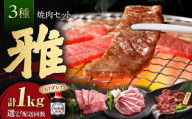 【全12回定期便】焼肉セット 雅 1kg / 肉 牛肉 牛 焼肉 焼き肉 やきにく BBQ バーベキュー キャンプ アウトドア 鉄板焼き セット 詰め合わせ 食べ比べ 国産 冷凍 小分け ハラミ カルビ バラ バラ肉 上カルビ 1kg 味付き タレ 簡単調理 ギフト / 大阪府藤井寺市/株式会社 松屋 [BLCD010]