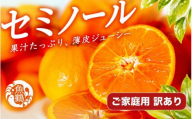【訳あり・ご家庭用】ジューシー柑橘　セミノールオレンジ　約5kg【2027年5月上旬頃〜2027年5月下旬頃に順次発送予定(お届け日指定不可)】