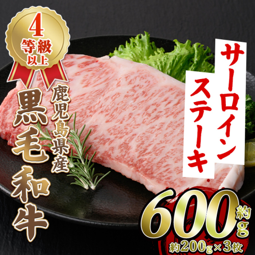 鹿児島県産 黒毛和牛 4等級以上 サーロイン ステーキ (約600g・約200g×3枚) 国産 牛肉 サーロイン ステーキ 4等級 バーベキュー BBQ おかず 冷凍 ステーキ肉 お肉 大判 個包装 【スターゼン】akn042-69 2656940 - 鹿児島県阿久根市