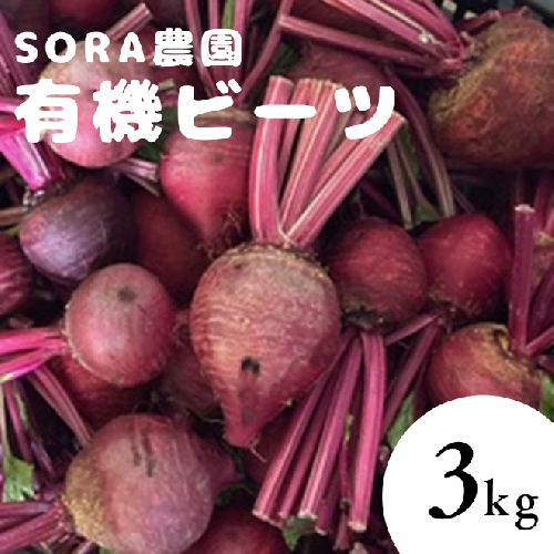 【6月上旬～順次発送】SORA農園の有機ビーツ3kg　有機野菜 有機農園 オーガニックファーム オーガニック野菜 有機栽培 ビーツ
 2656941 - 京都府京丹後市