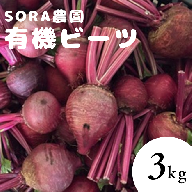 【6月上旬～順次発送】SORA農園の有機ビーツ3kg　有機野菜 有機農園 オーガニックファーム オーガニック野菜 有機栽培 ビーツ