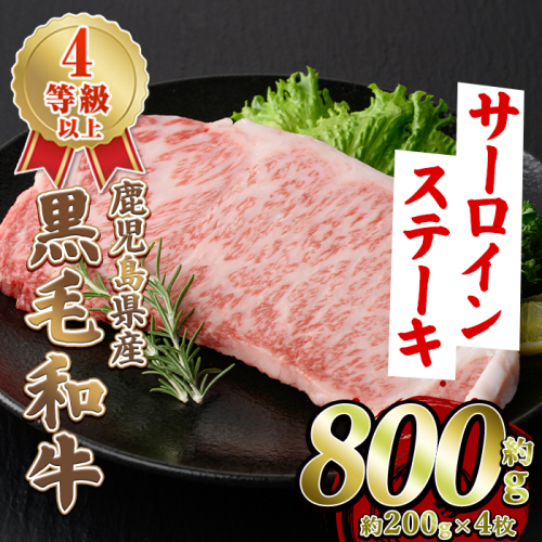 鹿児島県産 黒毛和牛 4等級以上 サーロイン ステーキ (約800g・約200g×4枚) 国産 牛肉 サーロイン ステーキ 4等級 バーベキュー BBQ おかず 冷凍 ステーキ肉 お肉 大判 個包装 【スターゼン】akn042-70 2656943 - 鹿児島県阿久根市