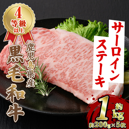 鹿児島県産 黒毛和牛 4等級以上 サーロイン ステーキ (約1kg・約200g×5枚) 国産 牛肉 サーロイン ステーキ 4等級 バーベキュー BBQ おかず 冷凍 ステーキ肉 お肉 大判 個包装 【スターゼン】akn042-71 2656945 - 鹿児島県阿久根市