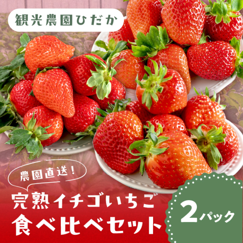 農園直送！完熟イチゴ食べ比べセット2種 2パック《先行予約》2027年1月中旬頃から順次発送予定【配送不可地域：北海道・沖縄・離島】 2656947 - 和歌山県御坊市