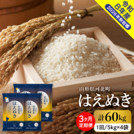 【令和8年産米】※選べる配送時期※はえぬき60kg（20kg×3ヶ月）毎月定期便 山形県産 【米comeかほく協同組合】