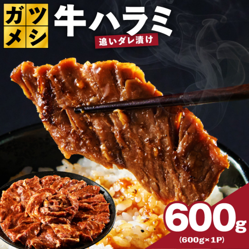 ガツめし牛ハラミ 600g 追いダレ漬け【焼肉 はらみ ハラミ 牛肉 訳あり サイズ不揃い】 G4017 2657481 - 大阪府泉佐野市