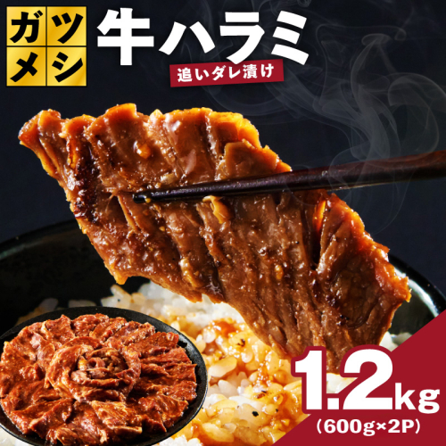 ガツめし牛ハラミ 1.2kg 追いダレ漬け【焼肉 600g×2P はらみ ハラミ 牛肉 訳あり サイズ不揃い】 G4018 2657482 - 大阪府泉佐野市