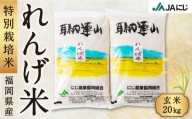 P444-20 JAにじ 特別栽培米「れんげ米」 玄米20kg