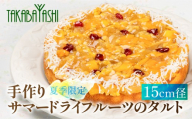 [夏季限定][発送期間:2026年6月18日〜8月31日]タカバヤシのサマードライフルーツのタルト 15cm径 洋菓子 ギフト お菓子 ケーキ 贈答 夏 期間限定 タルト タカバヤシ 下呂市