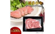DK-021_博多和牛　サーロインブロック　約500g