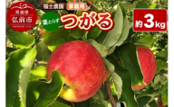 【26年9月発送】りんご 葉とらず つがる【家庭用】約3kg 青森県 弘前市 [青森県産 産地直送 アップル おいしい 果実 果物 赤色 美味]
