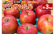 【26年11月～発送】りんご サンふじ【訳あり】約3kg【りんご品評会最高賞】糖度13度以上保証 青森県 弘前市 [不揃い 規格外 青森県産 産地直送 高糖度 甘い アップル おいしい 果実 果物 赤色 美味]