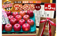 【26年11月～発送】りんご サンふじ【家庭用】大玉 約5kg【りんご品評会最高賞】糖度14度以上保証 青森県 弘前市 [青森県産 産地直送 大きい 高糖度 甘い アップル おいしい 果実 果物 赤色 美味]