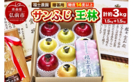 【26年12月～発送】りんご【サンふじ 約1.5kg＆王林 約1.5kg】計約3kg 糖度14度以上保証 青森県 弘前市 [贈答用 ギフト おもてなし 青森県産 産地直送 高糖度 甘い アップル おいしい 果実 果物 赤色 美味]