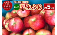 【26年10月発送】りんご 葉とらず 早生ふじ【家庭用】約5kg 青森県 弘前市 [青森県産 産地直送 アップル おいしい 果実 果物 赤色 美味]