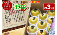 【26年11月～発送】りんご 王林【贈答用・特選】約3kg 糖度14度以上保証 青森県 弘前市 [青森県産 産地直送 高糖度 甘い アップル おいしい 果実 果物 黄色 美味]
