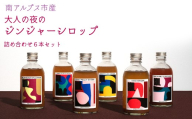南アルプス市の大人の「夜のジンジャーシロップ」　全種類詰め合わせ６本セット（ビビットジンジャー、ナイトユズジンジャー、ダークラムジンジャー、アダルトピーチジンジャー、リラクシングホットアップルジンジャー、ピンクバブルプラムジンジャー） ALPDR003-g