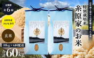新米 予約受付 R8年産（玄米）【定期便 全6回】特別栽培米「糸原家のお米」高野町産 コシヒカリ 10キロ(5キロ×2袋) | 10kg×6回 合計60kg 6ヶ月 6ヵ月 6か月 令和8年産