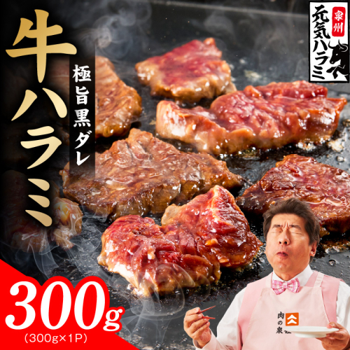 【新登場】極旨黒ダレ 牛ハラミ 300g【お試し 牛肉 はらみ 小分け 焼肉 お弁当 BBQ 訳あり ワケアリ わけあり サイズ不揃い 規格外 TVで話題】 005A810 2659141 - 大阪府泉佐野市