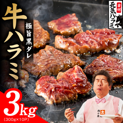 【新登場】極旨黒ダレ 牛ハラミ肉 3kg（300g×10P）【牛肉 はらみ 小分け 焼肉 お弁当 BBQ 訳あり ワケアリ わけあり サイズ不揃い 規格外 TVで話題】 030D278 2659152 - 大阪府泉佐野市