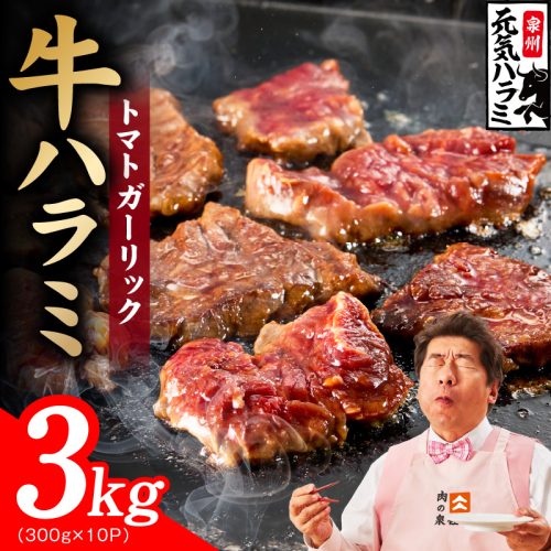 【新登場】トマトガーリック 牛ハラミ肉 3kg（300g×10P）【牛肉 はらみ 小分け 焼肉 お弁当 BBQ 訳あり ワケアリ わけあり サイズ不揃い 規格外 TVで話題】 030D279 2659153 - 大阪府泉佐野市